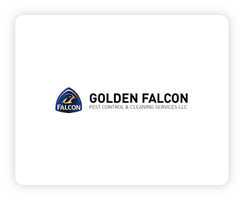 Golden falcon Client Logo Dubai